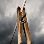 It's called torture for a reason Clothesline